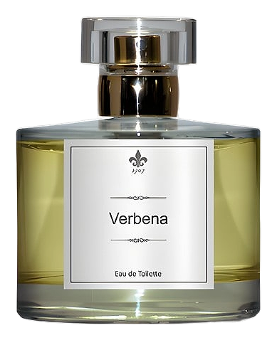 Verbena by 1907
