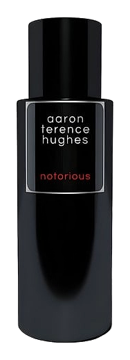 Notorious by Aaron Terence Hughes
