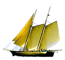 Sea Wood by Abdes Salaam Attars Perfumes