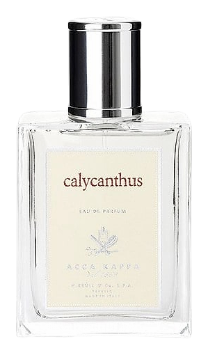 Calycanthus by Acca Kappa