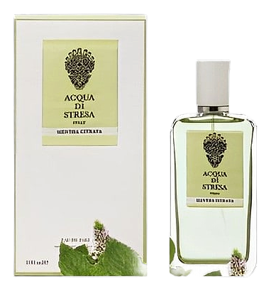Mentha Citrata