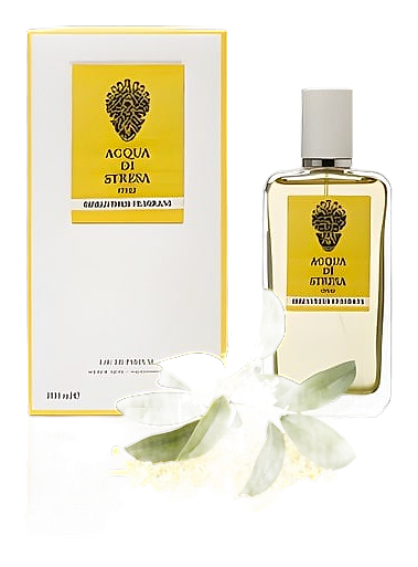 Osmanthus Fragrans by Acqua di Stresa