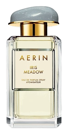 Iris Meadow by Aerin