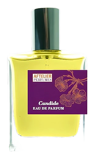 Candide by Aftelier