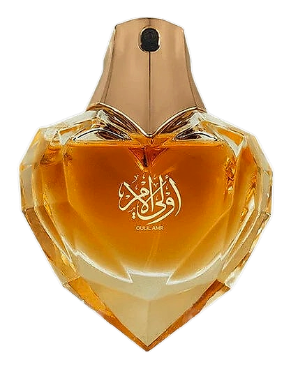 Oulil Amr by Ahmed Al Maghribi