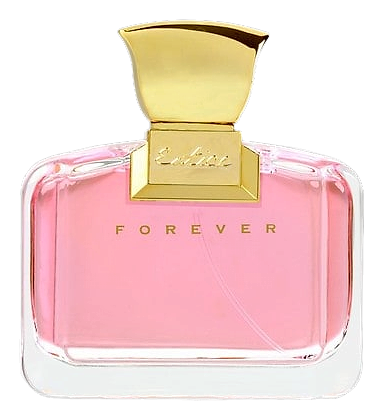 Entice Forever by Ajmal