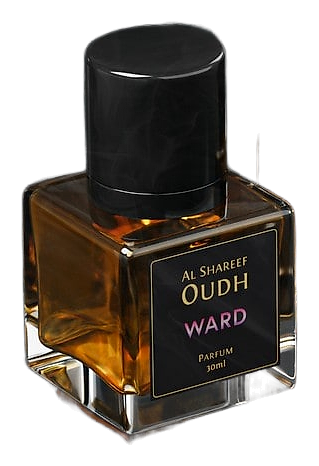 Ward by Al Shareef Oudh