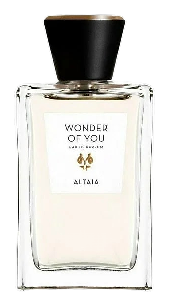 Wonder Of You by ALTAIA