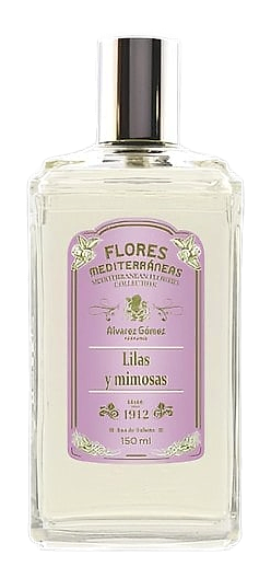 Lilas y Mimosas by Alvarez Gómez