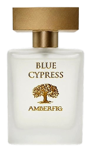 Blue Cypress by Amberfig