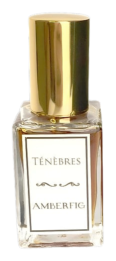 Ténèbres by Amberfig