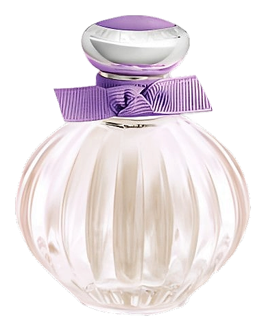 Beloved Purple Blossom by American Beauty