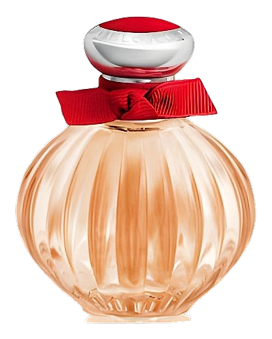 Beloved Red Rose by American Beauty