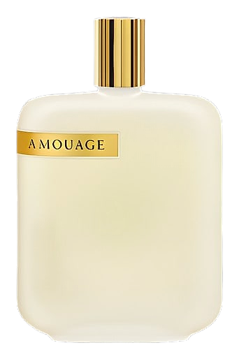 The Library Collection Opus Ii by Amouage