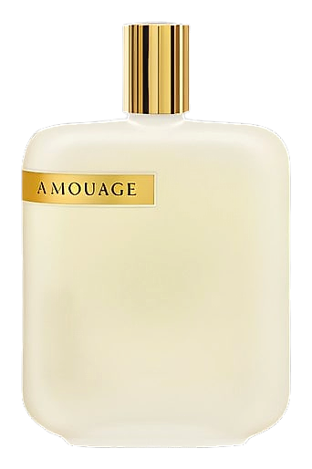 The Library Collection Opus Iii by Amouage