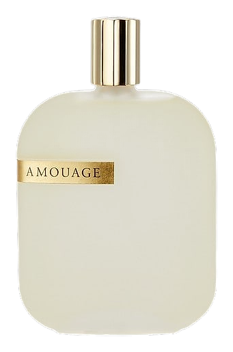 The Library Collection Opus V by Amouage