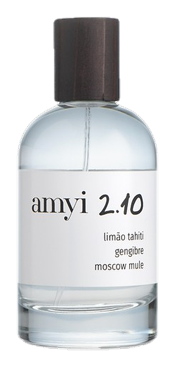 Amyi 2.10 by Amyi