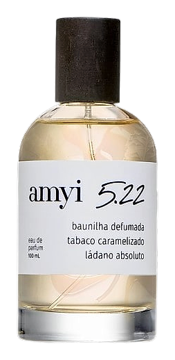 Amyi 5.22 by Amyi