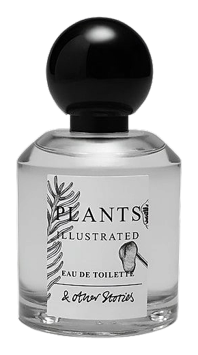 Plants Illustrated by And Other Stories – Eau de Parfum