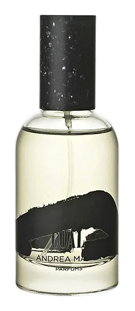Andrea Maack Coal