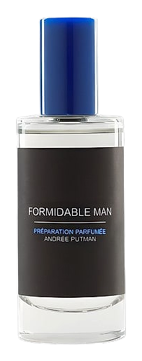 Formidable Man by Andree Putman