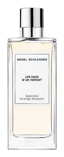 Splendid Orange Blossom by Angel Schlesser