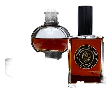 Amber Noir by Angela Flanders