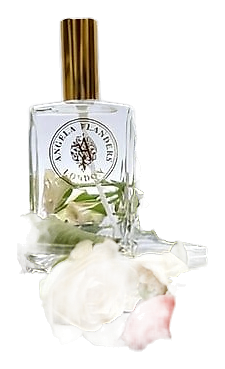 Angela Flanders Rose Sauvage