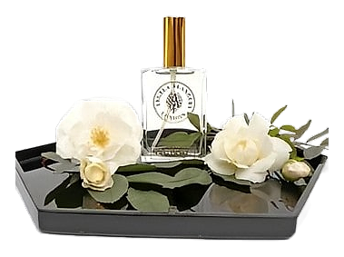White Roses by Angela Flanders – Eau de Parfum