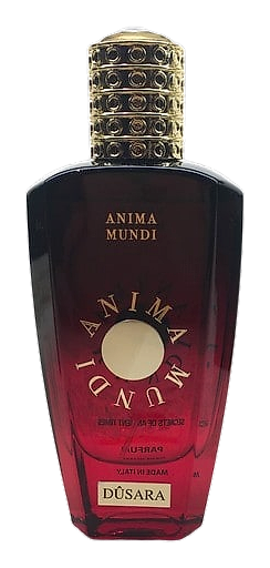 Dusara by Anima Mundi