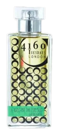 Another Kiss by the Fireside by 4160 Tuesdays – Eau de Parfum