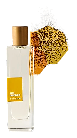 A Rather Novel Collection 1856 Darjeeling by Adriana Medina by Anthropologie
