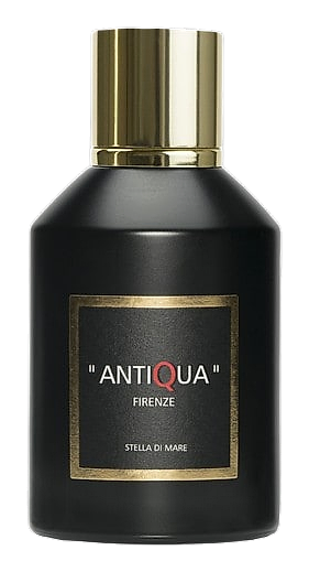 Stella Di Mare by Antiqua Firenze