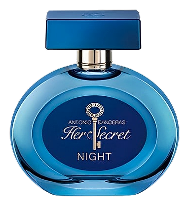 Her Secret Night by Antonio Banderas