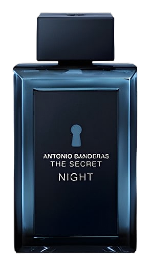 The Secret Night by Antonio Banderas