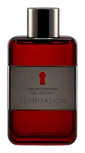 The Secret Temptation by Antonio Banderas