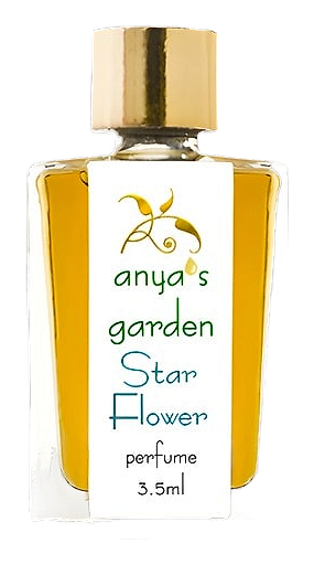 Star Flower by Anya's Garden