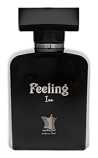 Feeling Inn Black by Arabian Oud – Eau de Parfum