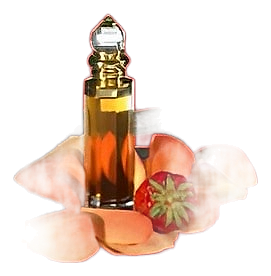 Princess Hamida by Arabian Oud