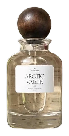 Arctic Valor by Monkoku