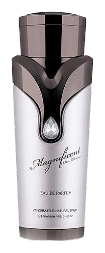 Magnificent Pour Homme by Armaf