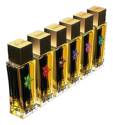 Cabuya by Asgharali – Eau de Parfum