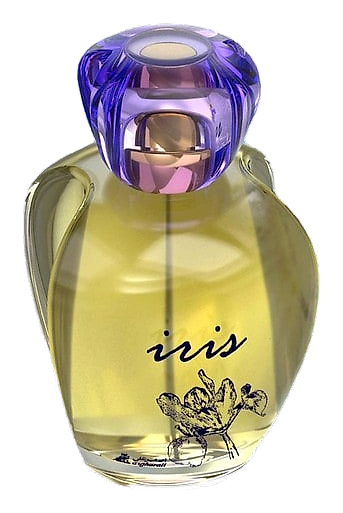 Iris by Asgharali – Eau de Parfum