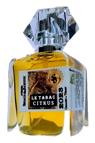 Le Tabac & Citrus by Atelier Segall & Barutti