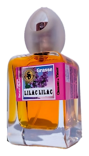 Lilac Lilac by Atelier Segall & Barutti