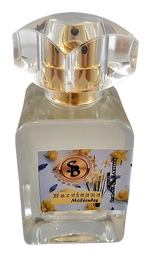 Narcissus Molécules by Atelier Segall & Barutti