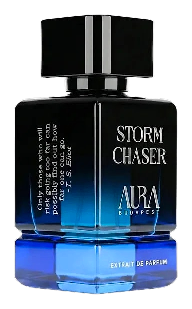 Storm Chaser