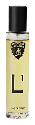 L1