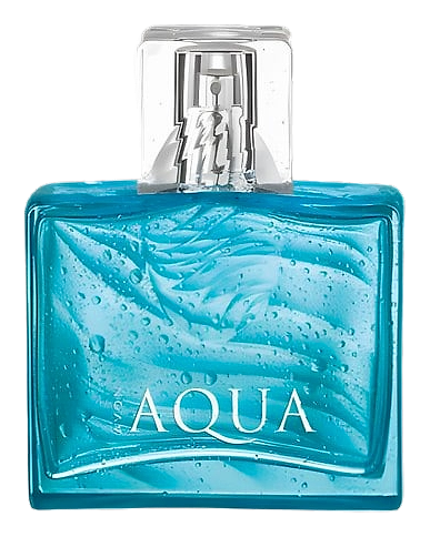 Aqua For Him by Avon