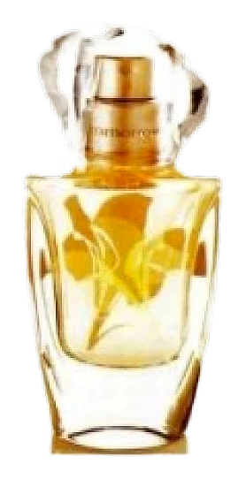 In Bloom by Avon